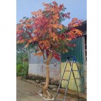 Cây giả 5m Hàng thiết kế riêng cho công ty truyền thông MD